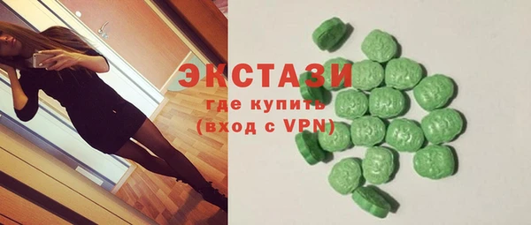 ECSTASY Богородицк