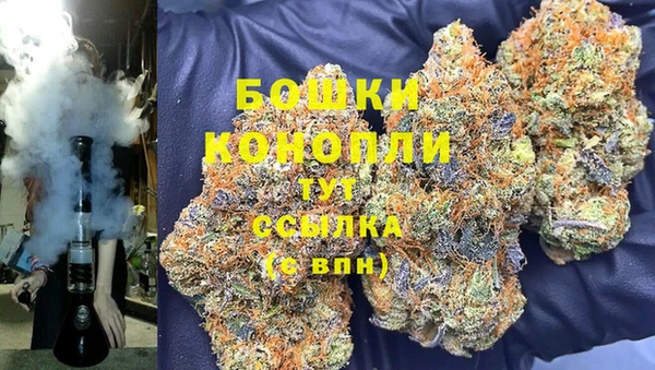 ГАЛЛЮЦИНОГЕННЫЕ ГРИБЫ Белоозёрский