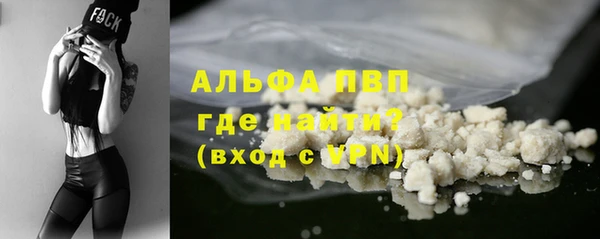 ECSTASY Богородицк