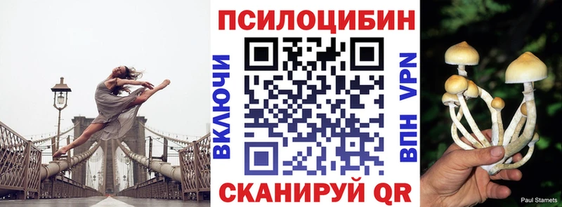 Псилоцибиновые грибы Psilocybine cubensis  цены   Санкт-Петербург 